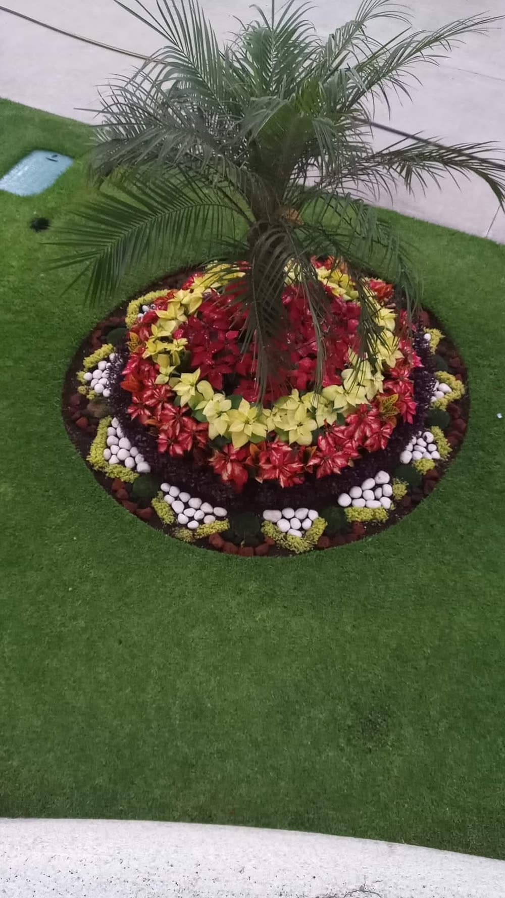 Macetero circular con palmera y flores