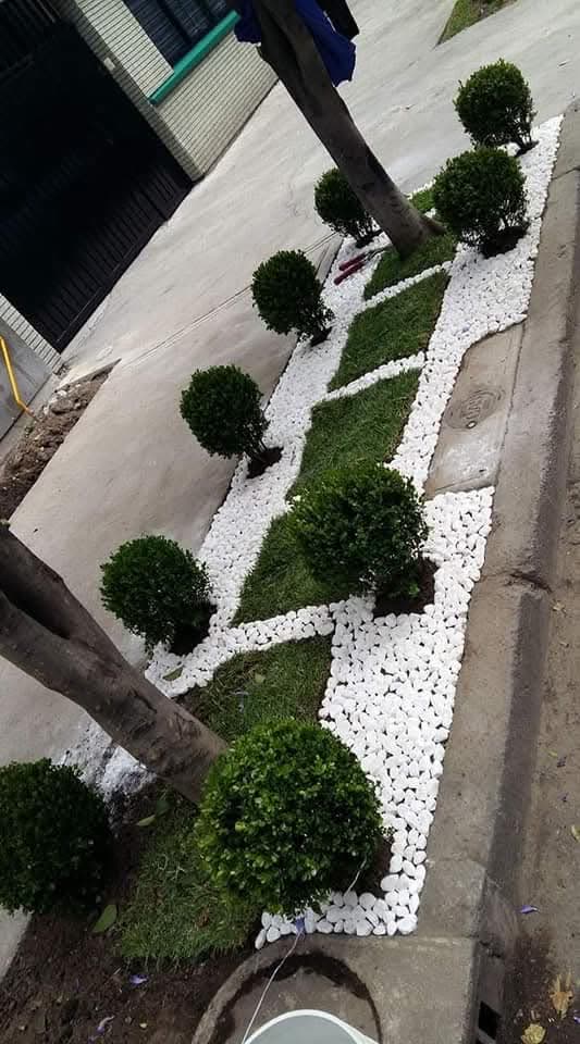 Sendero con arbustos podados y piedra blanca decorativa
